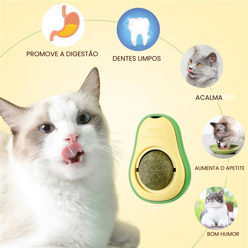 Catnip de Abacate para Gatos – Erva Natural Relaxante com Adesivo de Parede