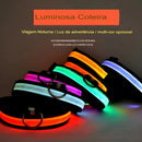 Coleira de Nylon com LED para Cães – Segurança Noturna com Brilho no Escuro