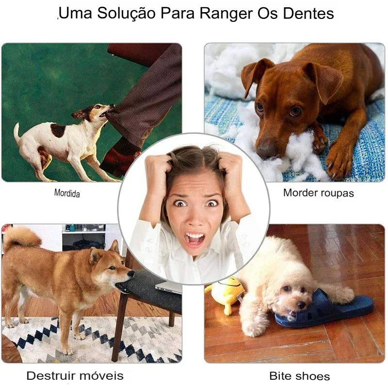 🐶 Dog Toy Ball – Bola Interativa com Elástico | Mordedor Resistente e Alimentador de Petiscos
