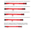 Coleira de Nylon com LED para Cães – Segurança Noturna com Brilho no Escuro