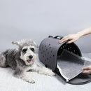 Tapetes Higiênicos de Carvão de Bambu Ecológicos: Conforto e Absorção para o Treinamento do Seu Pet